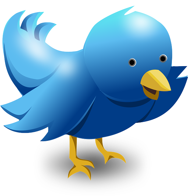 How To Use Twitter For Business